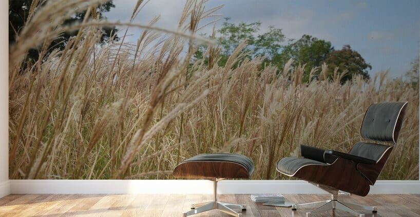 A table with chairs and umbrellas in front of tall grass.